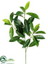 Silk Plants Direct Zebra Spray - Green Two Tone - Pack of 12