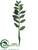 Zamioculcas Spray - Green - Pack of 6