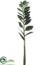 Silk Plants Direct Zamioculcas Zamiifolia ZZ Spray - Green - Pack of 12