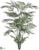 Areca Palm Tree - - Pack of 1