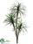 Yucca Tree - Green Red - Pack of 2