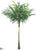 Coconut Palm Tree - Green - Pack of 3