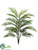 Areca Palm Tree - Green - Pack of 6