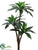 Rubber Tree - Green - Pack of 4
