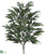 Mango Tree - Green - Pack of 6