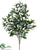Olive Tree - Green Two Tone - Pack of 6