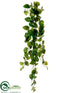 Silk Plants Direct Pothos Hanging Vine - Green Cream - Pack of 12