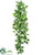 Sweet Potato Leaf Hanging Vine - Green Light - Pack of 6