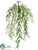 Curly Fern Hanging Vine - Green Lavender - Pack of 12