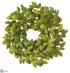 Silk Plants Direct White Ash Leaf Wreath - Green Two Tone - Pack of 2