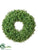 Silk Plants Direct Boxwood Wreath - Green - Pack of 1