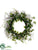 Eucalyptus, Berry Wreath - Green Cream - Pack of 2