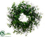 Silk Plants Direct Eucalyptus Twig Wreath - Green - Pack of 2