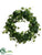 Ivy Wreath - Green Cream - Pack of 2