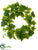Hedera Ivy Wreath - Green - Pack of 12