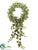 Ivy Wreath - Green Frosted - Pack of 2