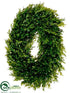Silk Plants Direct Tea Leaf Oval Wreath - Green - Pack of 4