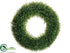 Silk Plants Direct Tea Leaf Wreath - Green - Pack of 4
