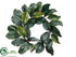 Silk Plants Direct Magnolia Leaf Wreath - Green - Pack of 2