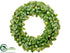 Silk Plants Direct Pittosporum Wreath - Green - Pack of 1