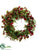 Coleus, Fern Wreath - Burgundy Green - Pack of 4