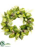 Silk Plants Direct Magnolia Leaf, Fern Wreath - Green - Pack of 2