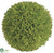 Sedum Ball - Green - Pack of 6