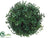 Boxwood Ball - Green - Pack of 6