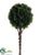 Cedar Ball Topiary Stem - Green - Pack of 6