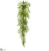 Silk Plants Direct Fern Hanging Decor - Green - Pack of 2