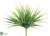 Vanilla Grass Bush - Green Two Tone - Pack of 12