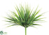 Silk Plants Direct Vanilla Grass Bush - Green Two Tone - Pack of 12