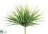 Silk Plants Direct Vanilla Grass Bush - Green Two Tone - Pack of 12