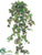 Grape Ivy Vine Hanging Bush - Green - Pack of 12
