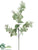 Eucalyptus Branch - Green Gray - Pack of 12