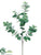 Eucalyptus Branch - Green White - Pack of 12