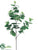 Eucalyptus Branch - Green Gray Green White - Pack of 12