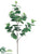 Eucalyptus Branch - Green - Pack of 12