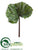 Begonia Leaf Spray - Green - Pack of 12