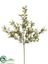 Silk Plants Direct Mini Boxwood Spray - Salmon Green - Pack of 12