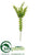 Eucalyptus Spray - Green - Pack of 12