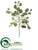 Eucalyptus Spray - Green - Pack of 24