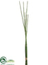 Silk Plants Direct Horsetail Equisetum Bundle - Green - Pack of 8