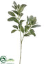 Silk Plants Direct Lambs Ear Leaf Spray - Green - Pack of 12