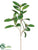 Laurel Spray - Green - Pack of 12