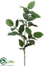 Silk Plants Direct Lemon Leaf Spray - Green Burgundy - Pack of 24
