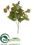 Silk Plants Direct Grape Ivy Spray - Green - Pack of 12