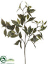 Silk Plants Direct Nandina Spray - Green - Pack of 12