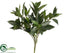 Silk Plants Direct Sweet Bay Spray - Green Two Tone - Pack of 12