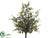 Boxwood Bush - Green Brown - Pack of 12